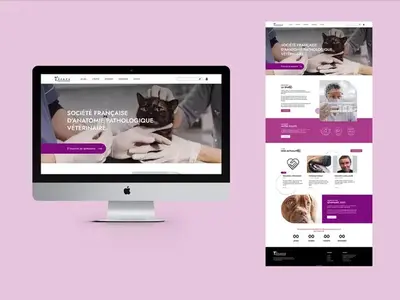 SFAPV — Création de site internet